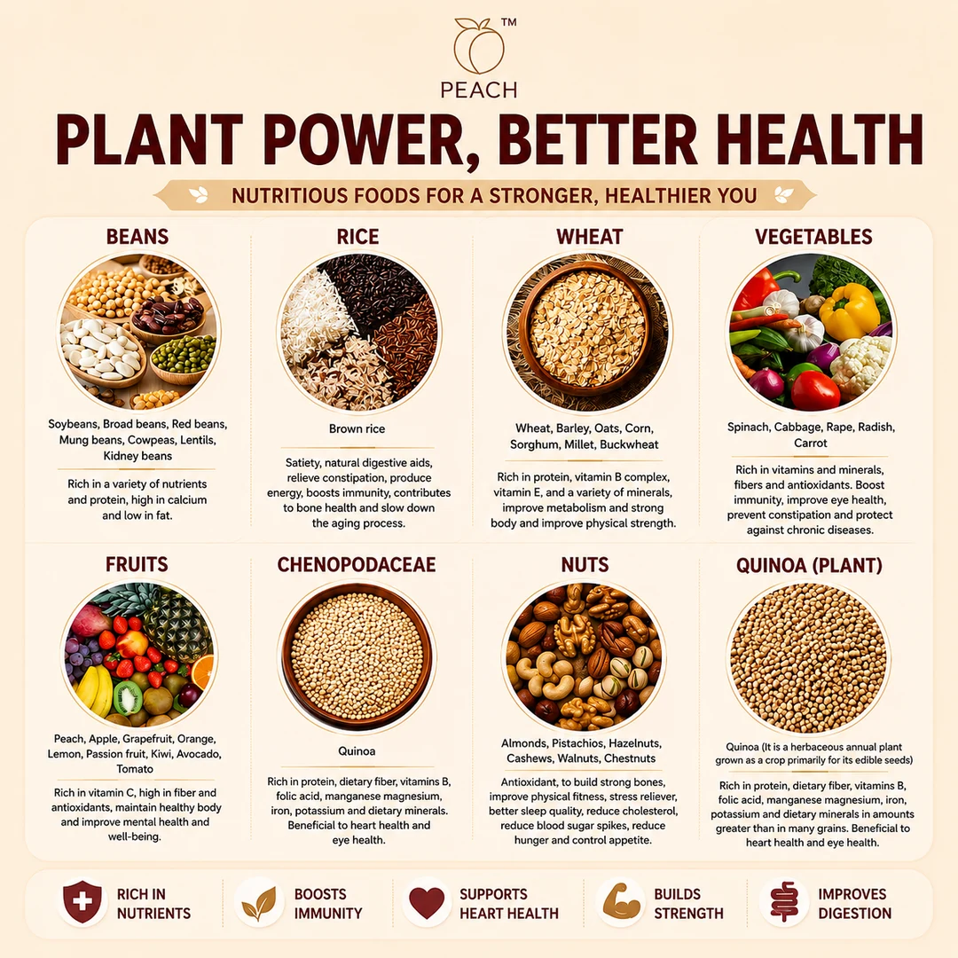 8PM Quinoa Nutrients Breakfast - Image 4